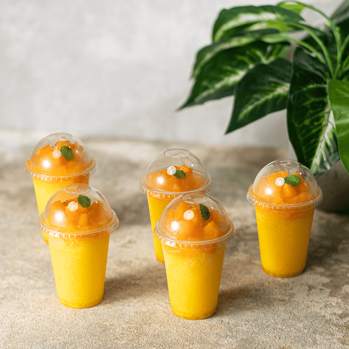 [1,000 ct] 7 oz Plastic Dome Cup Lids | PET | 74 mm
