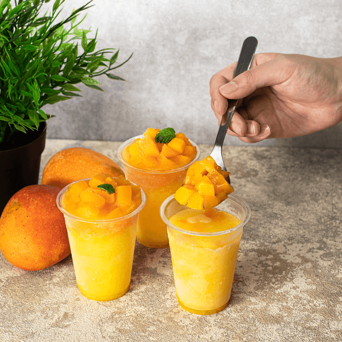 [1,000 ct] 7 oz Plastic Dome Cup Lids | PET | 74 mm