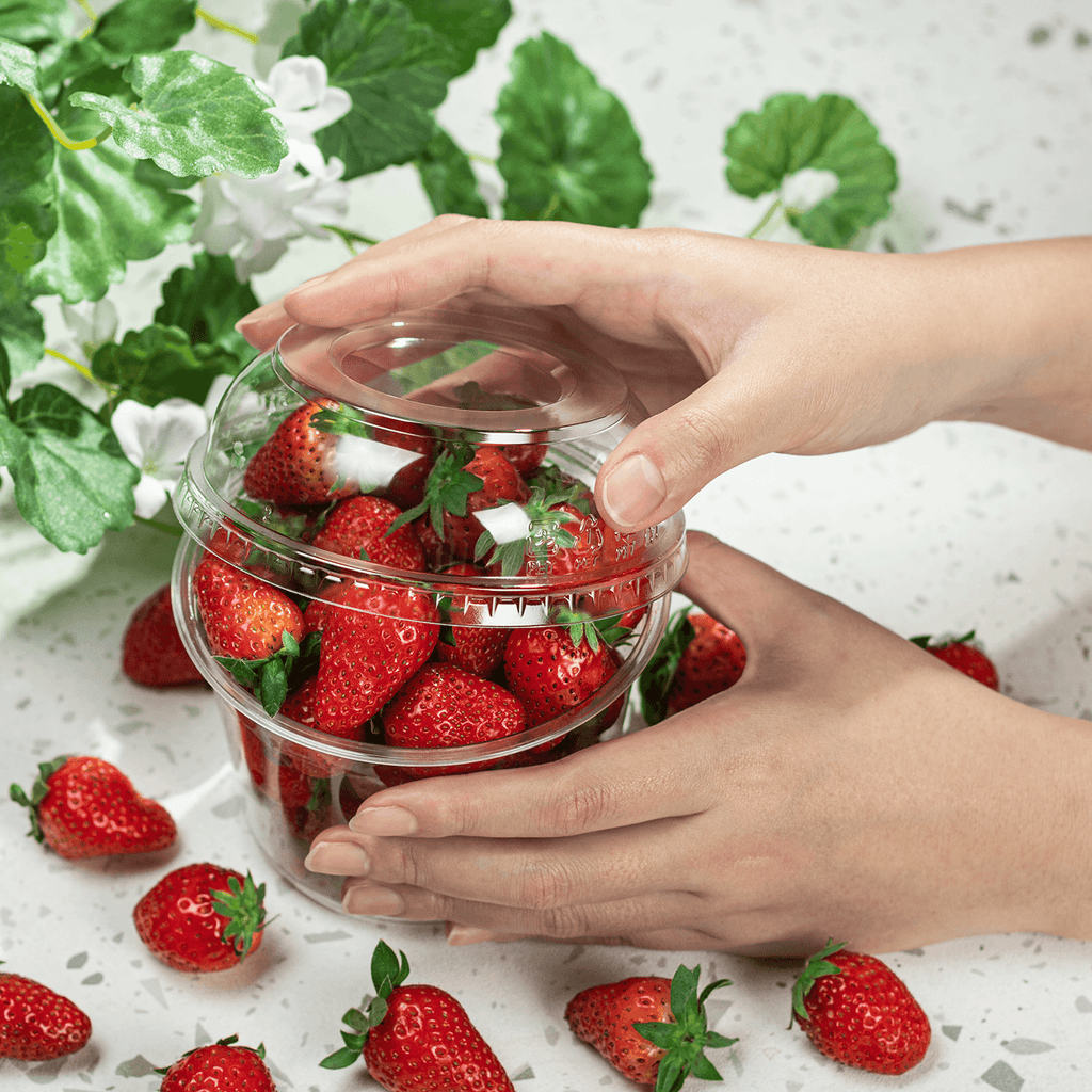 [500 ct] 8-32 oz Food Container Dome Lids | PET | 117 mm