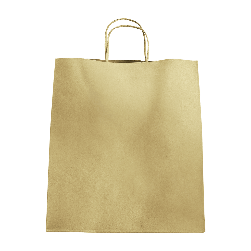 [200 ct] Huntington Paper Shopping Bag with Twisted Handles