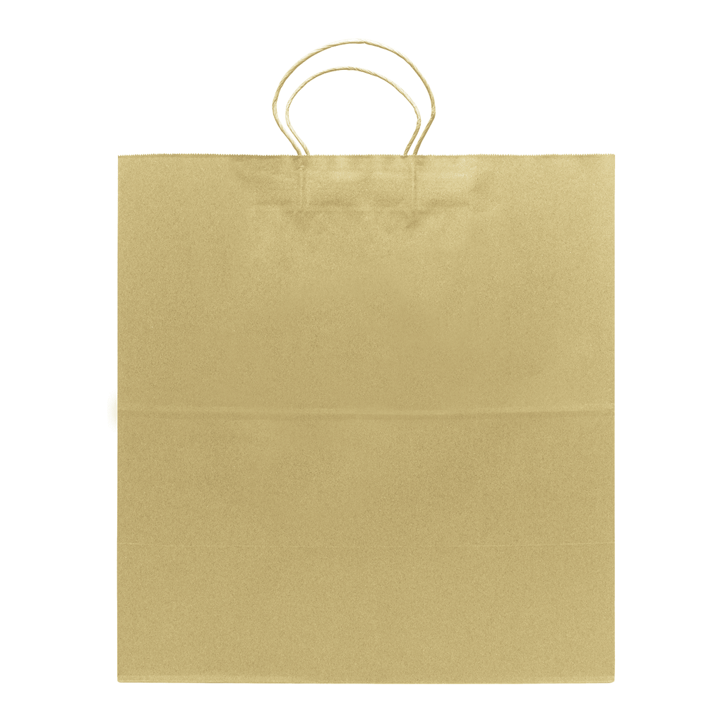 [150 ct] Newport Paper Shopping Bag with Twisted Handles