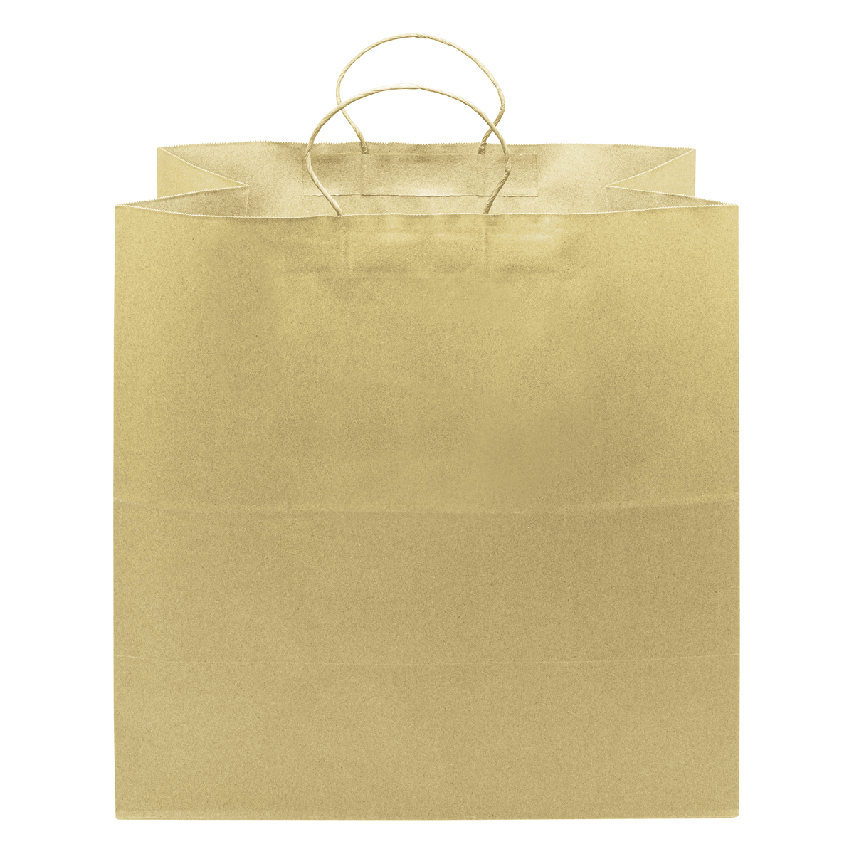 [150 ct] Newport Paper Shopping Bag with Twisted Handles