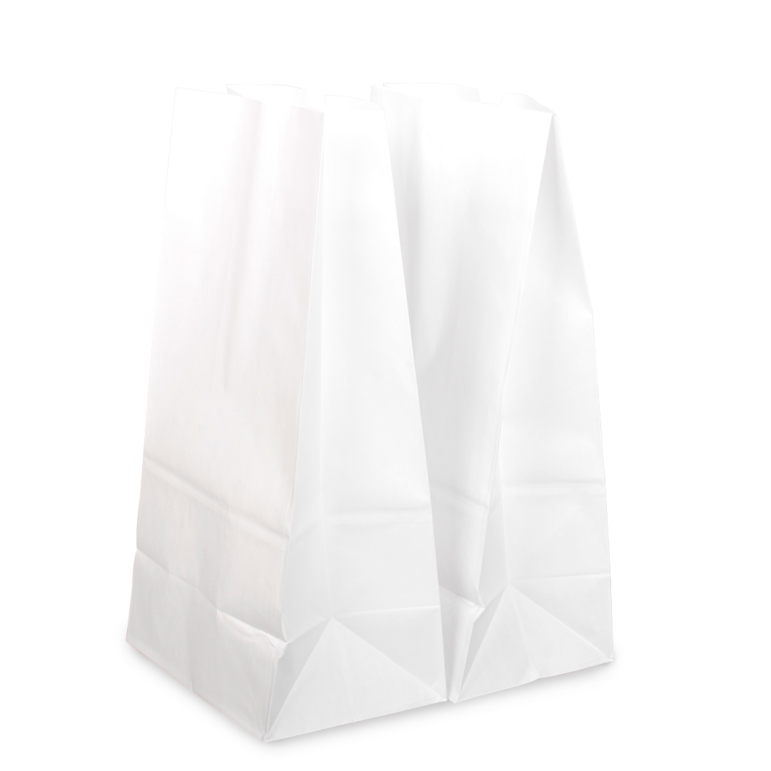 [500 ct] 20 lb Paper Bag, White