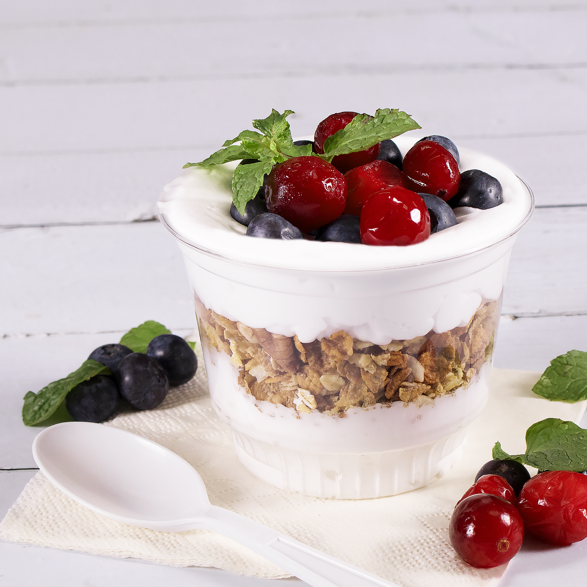 Yogurt Powder - Bag (2.2 lbs)