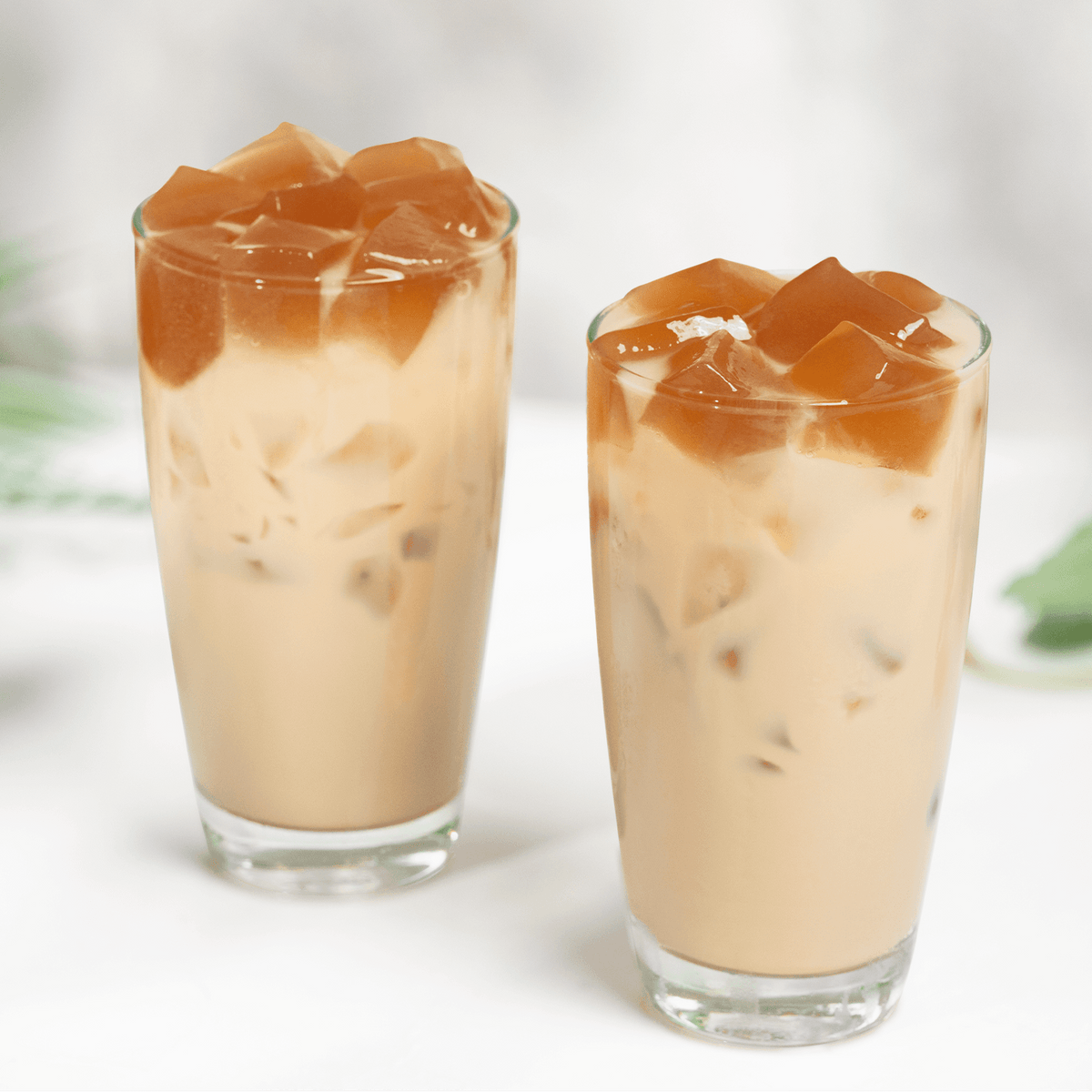 Winter Melon Jelly Powder - Bag (2.2 lbs)