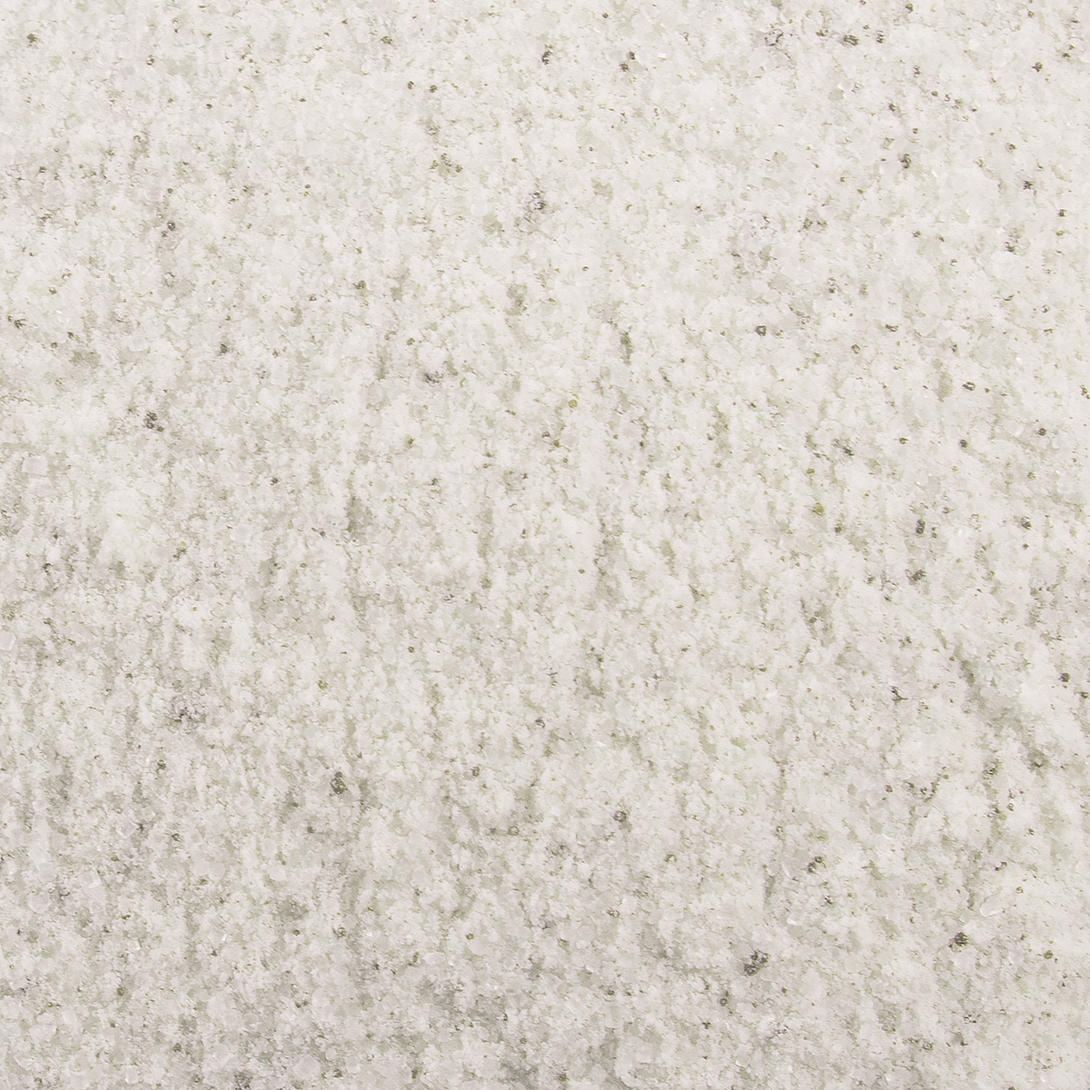 MochaBLAST Vanilla Latte Powder - Bag (2 lbs)