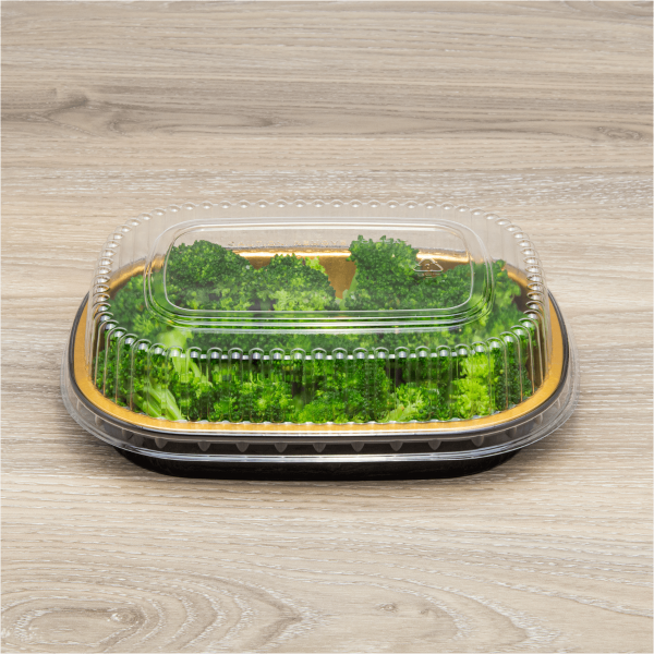 [100 sets] 24 oz Black and Gold Aluminum Pans with PET Dome Lids