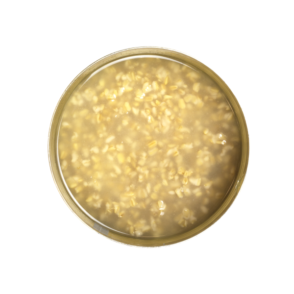 Premium Natural Oats - Can (6.83 lbs)
