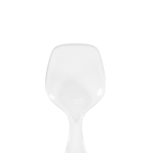 [96 ct] 9" Plastic Serving Spoon | PS