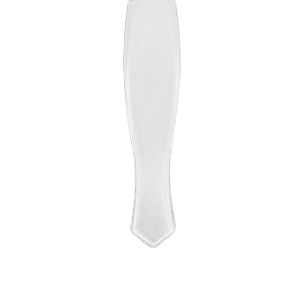 [96 ct] 9" Plastic Serving Spoon | PS