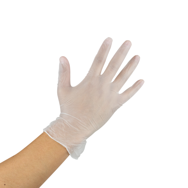 [1,000 ct] Vinyl Gloves | Latex-Free | Powder-Free | Clear | Small