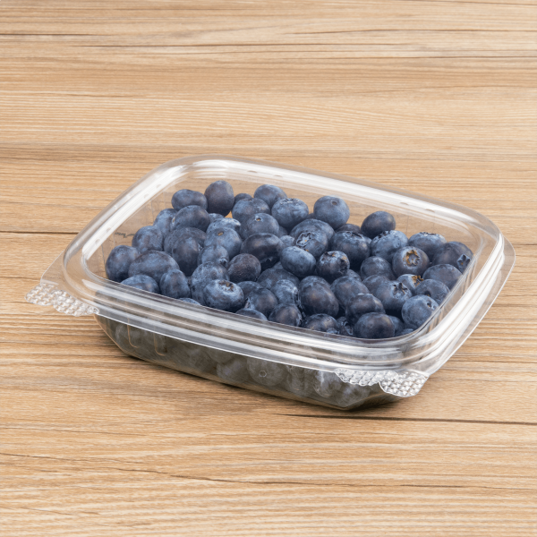 [200 ct] 8 oz Hinged Deli Container | PET
