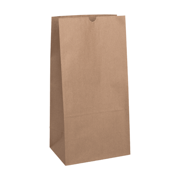 [500 ct] 20 lb Paper Bag, Kraft