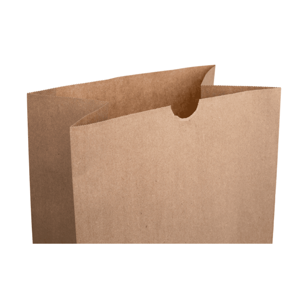 [500 ct] 20 lb Paper Bag, Kraft