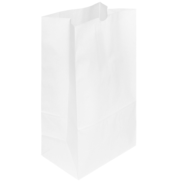 [500 ct] 20 lb Paper Bag, White