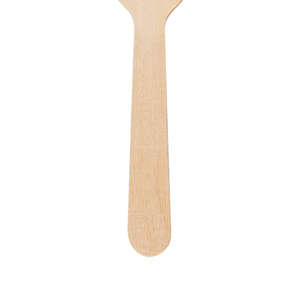 Karat Earth Wooden Compostable Heavy Weight Tasting Spoon - 4,000 pcs