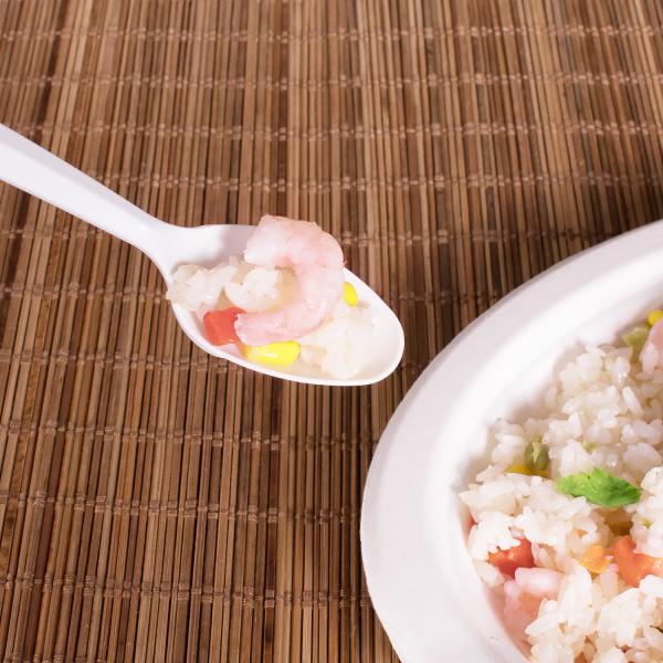 [1,000 ct] PP Plastic Medium-Heavy Weight Tea Spoons Bulk Box, White