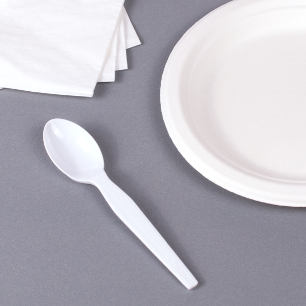 [1,000 ct] PS Plastic Medium-Heavy Weight Tea Spoons Bulk Box, White